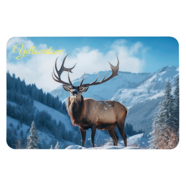 Íman Ellowstone Magnet-Elk (Horizontal)