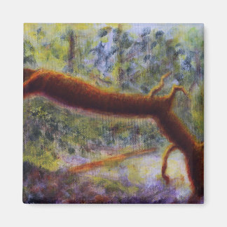 Íman Elora Gorge, Magnet