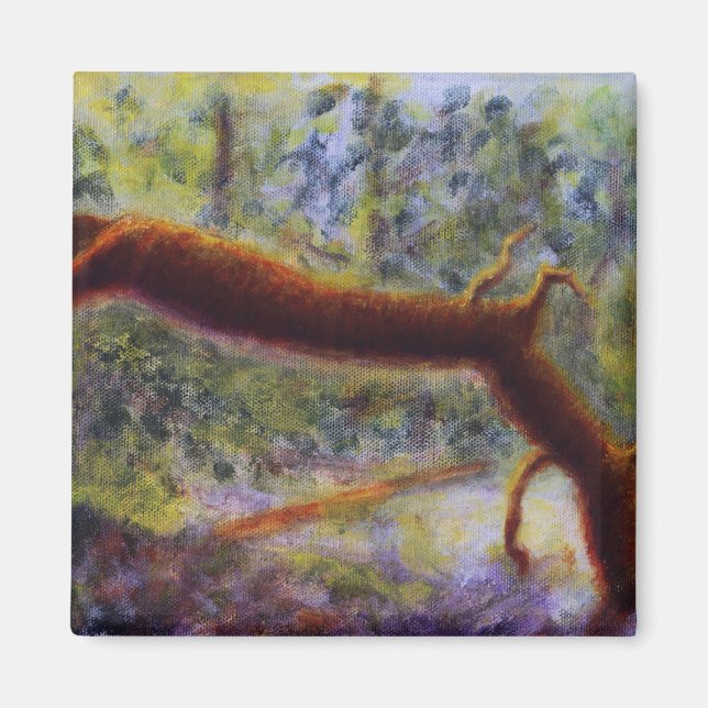 Íman Elora Gorge, Magnet (Frente)