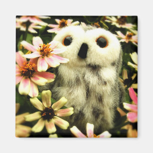 Íman Em Busca De Fadas