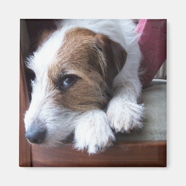 Íman Em casa no domingo (Frente)