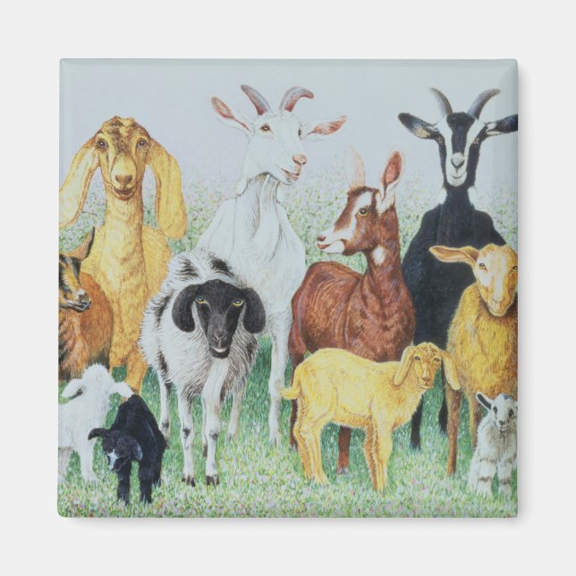 Íman Em Clover (Frente)