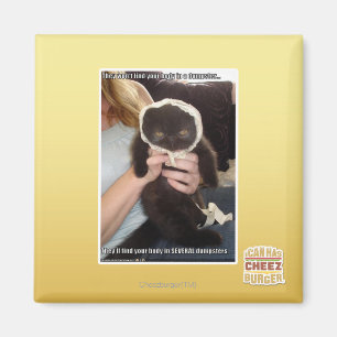 Íman Em diversos contentores