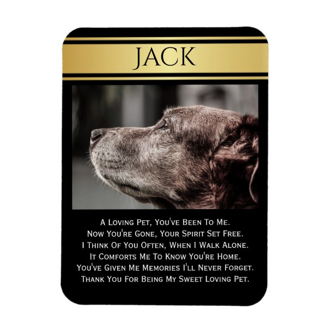 Íman Em Memória De Um Pet Perdido (Vertical)