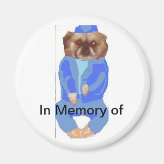 Íman Em Memória Do Magnet