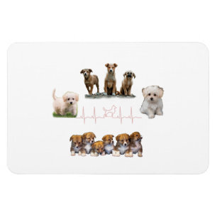 Íman Embalagem de cães, Encapsulamento Engraçado
