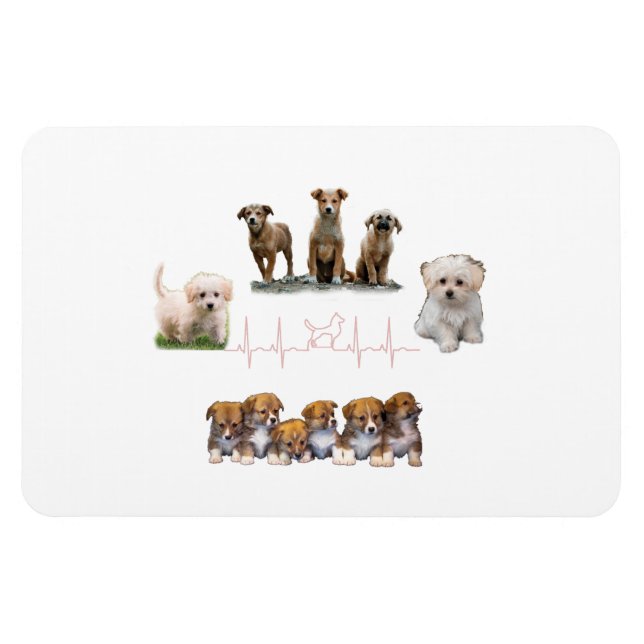 Íman Embalagem de cães, Encapsulamento Engraçado (Horizontal)