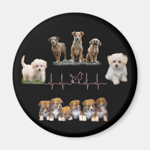 Íman Embalagem de cães, Encapsulamento Engraçado