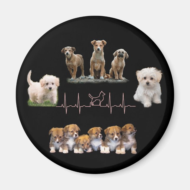 Íman Embalagem de cães, Encapsulamento Engraçado (Frente)
