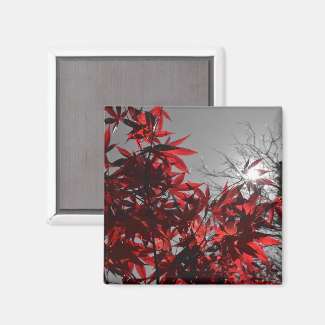 Íman Embers of Autumn (Front/Back)