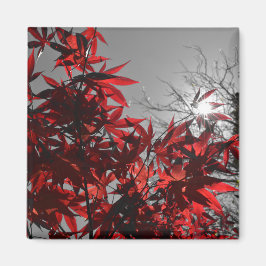 Íman Embers of Autumn