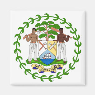 Íman emblema de belize