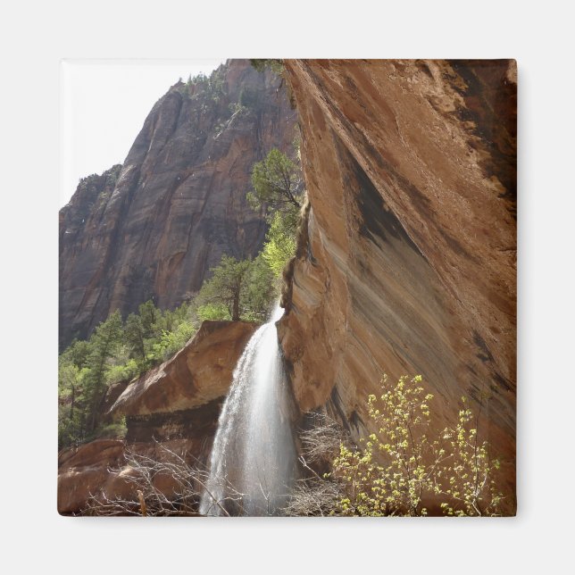Íman Emerald Pool Falls III do Parque Nacional de Zion (Frente)