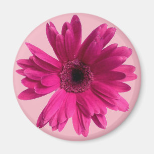 Íman Emoji cor-de-rosa da margarida