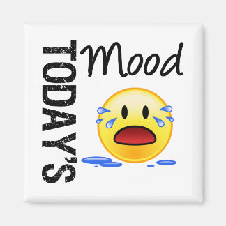 Íman Emoticon de humor de hoje chorando