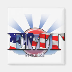 Íman EMT nos EUA (TECNOLOGIA MÉDICA da EMERGÊNCIA)