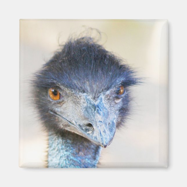 Íman Emu (Frente)