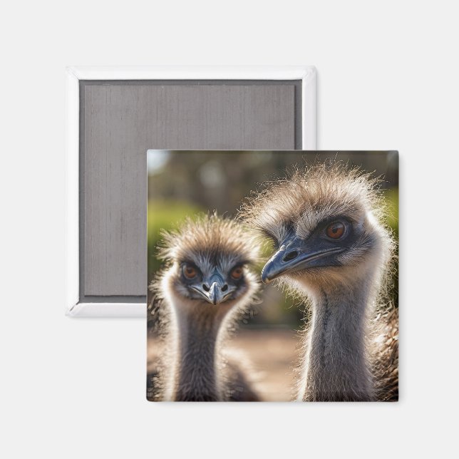Íman Emu Birds (Front/Back)