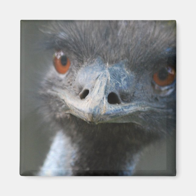 Íman Emu Magnet (Frente)