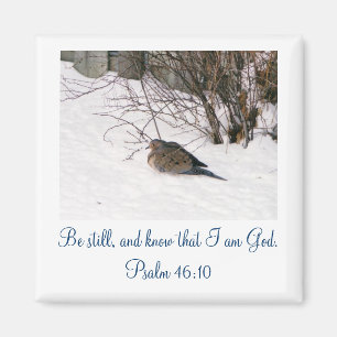 Íman Encaixe o ímã da neve