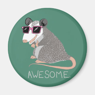 Íman Encantado Incrível Possum