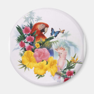 Íman Encantamento tropical