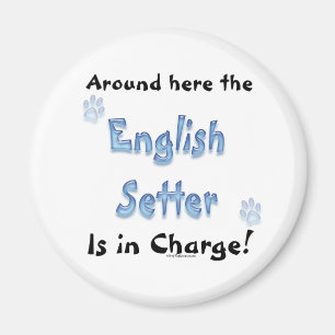 Íman Encargo do Setter Inglês - Magnet