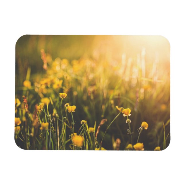 Íman Encerramento do botão (Horizontal)