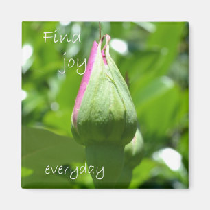 Íman Encontre a alegria diária