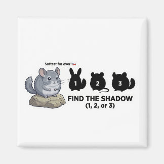 Íman Encontre a Sombra Chinchila Animal Busca Mundial p