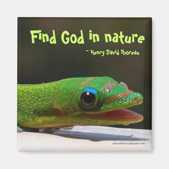 Íman Encontre Deus na natureza (Frente)