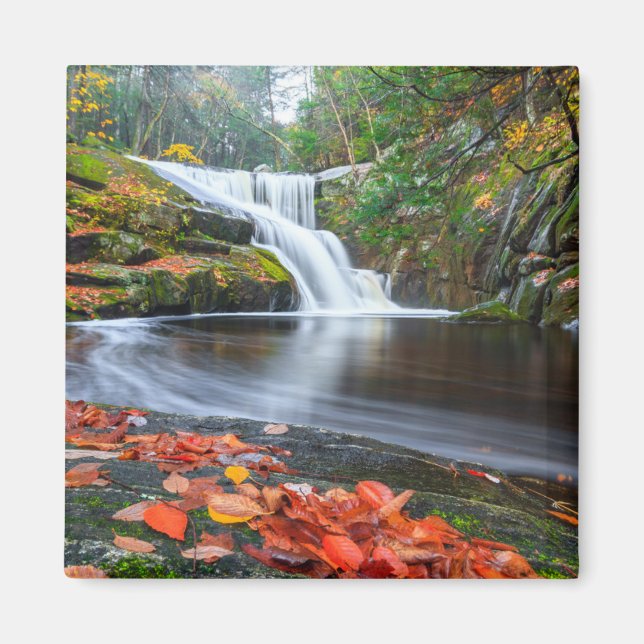 Íman Ender's Falls in Fall (Frente)