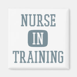 Íman Enfermeiros Na Formação De Enfermeiros Futuros