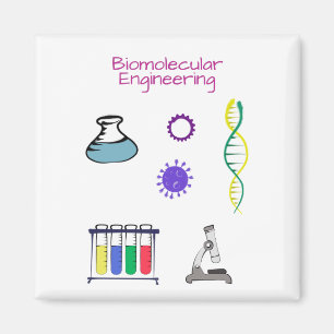 Íman Engenheiro biomolecular Engenharia química