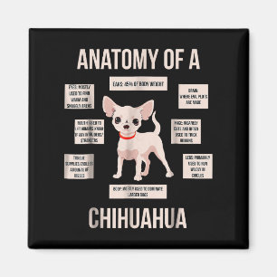 Íman Engraçada Anatomia Do Presente De Um Chihuahua