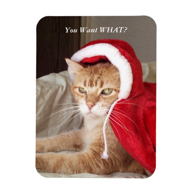 Íman Engraçada Gato de Natal Magneta Humorosa (Vertical)
