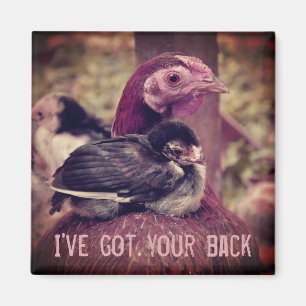 Íman Engraçada Mãe Hen e Pintinho