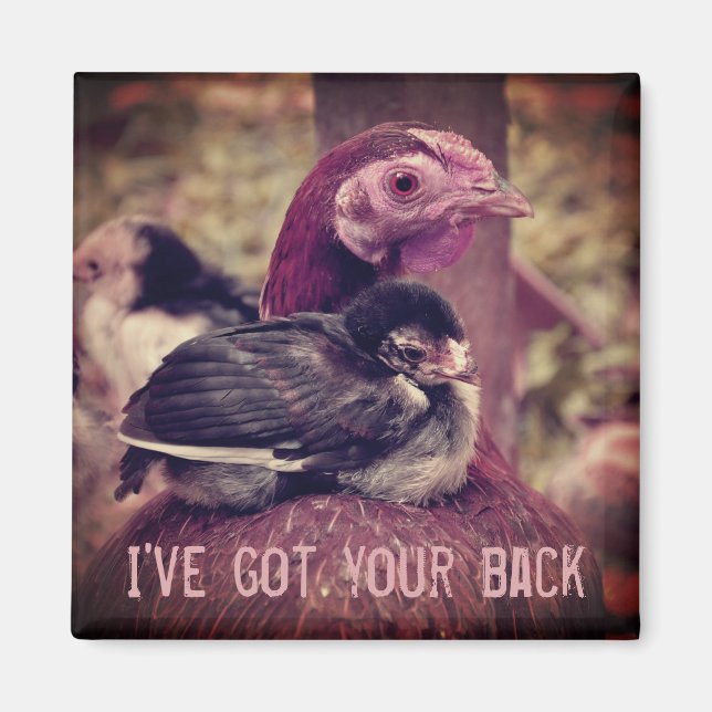 Íman Engraçada Mãe Hen e Pintinho (Frente)