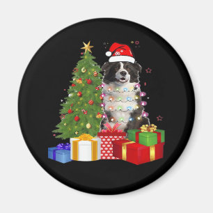 Íman Engraçado Borda Collie Árvore de Natal Feliz Natal