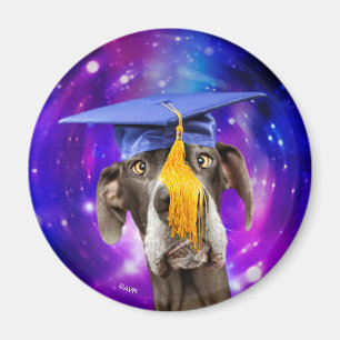 Íman Engraçado Cão Vestindo Chapéu