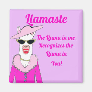 Íman Engraçado, cor-de-rosa, dizendo Magnet