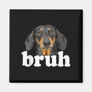 Íman Engraçado Dachshund Meming Dizendo Bruh Funny Dog