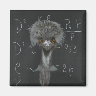 Íman Engraçado Emu Einstein