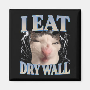 Íman Engraçado Eu Como Parede Seca Silly Cat Meme Homen