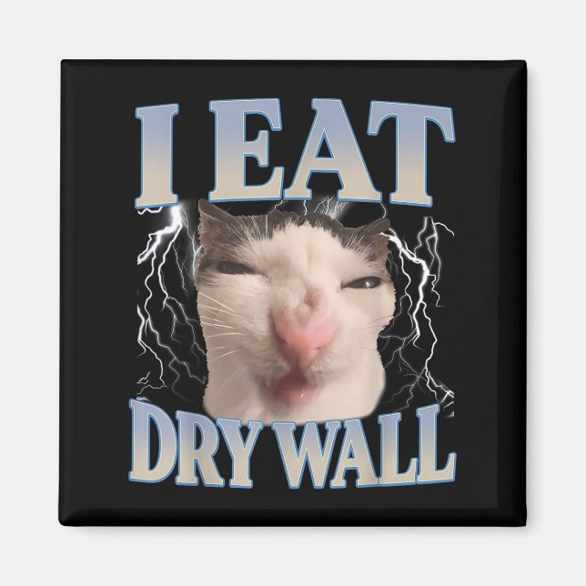 Íman Engraçado Eu Como Parede Seca Silly Cat Meme Homen (Frente)
