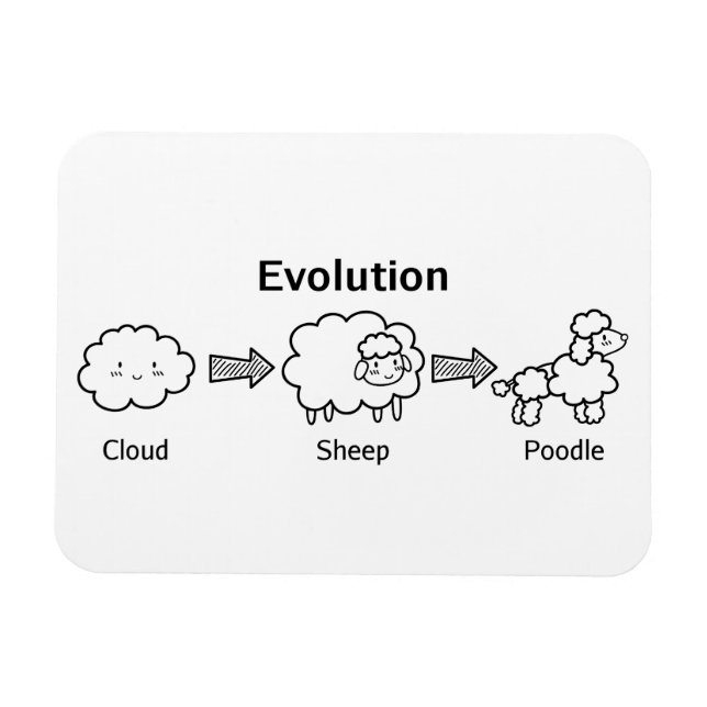 Íman Engraçado evolução da nuvem em ovelhas e poodle (Horizontal)