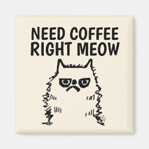 Íman Engraçado, Gatinhos De Gato, Preciso De Café.