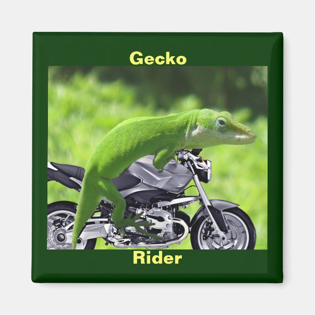 Íman Engraçado Gecko Rider Magnet Verde Havaiano (Frente)