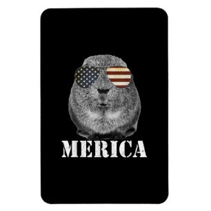 Íman Engraçado Guiné Pig Merica Óculos de Bandeira Patr