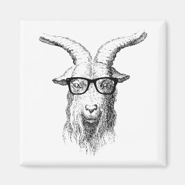 Íman Engraçado Hipster de animais com óculos